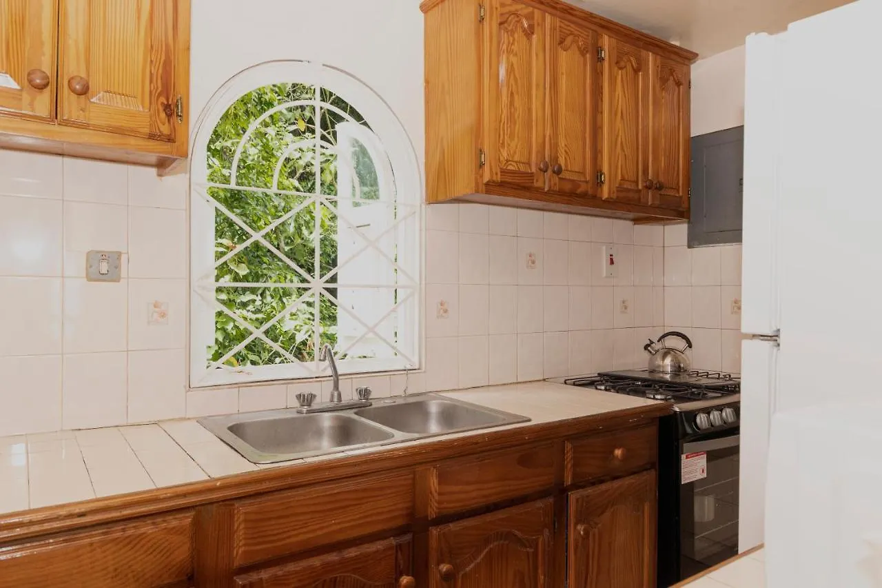 公寓 Pampered In Paradise Columbus Heights 2 Bedroom Penthouse Condo Near Ian Fleming Airport 奥乔里奥斯