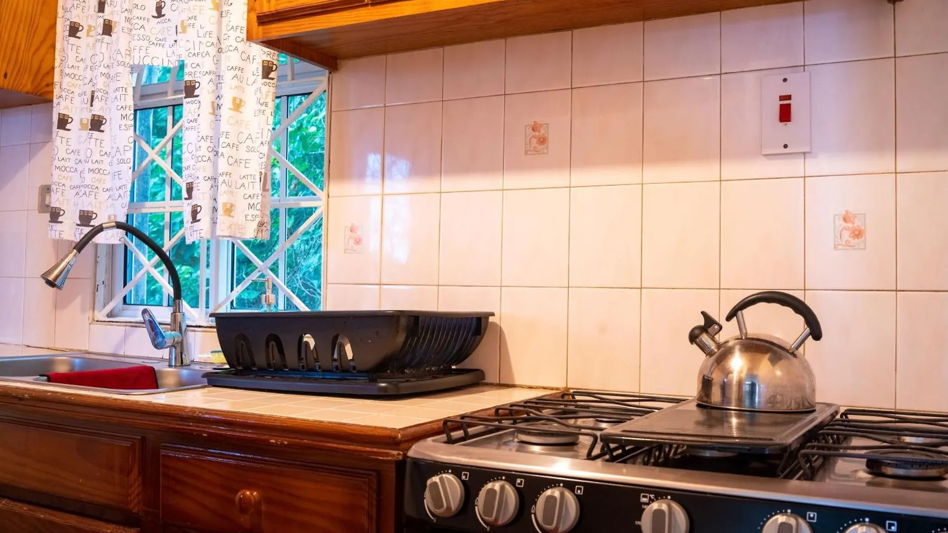公寓 Pampered In Paradise Columbus Heights 2 Bedroom Penthouse Condo Near Ian Fleming Airport 奥乔里奥斯 牙买加