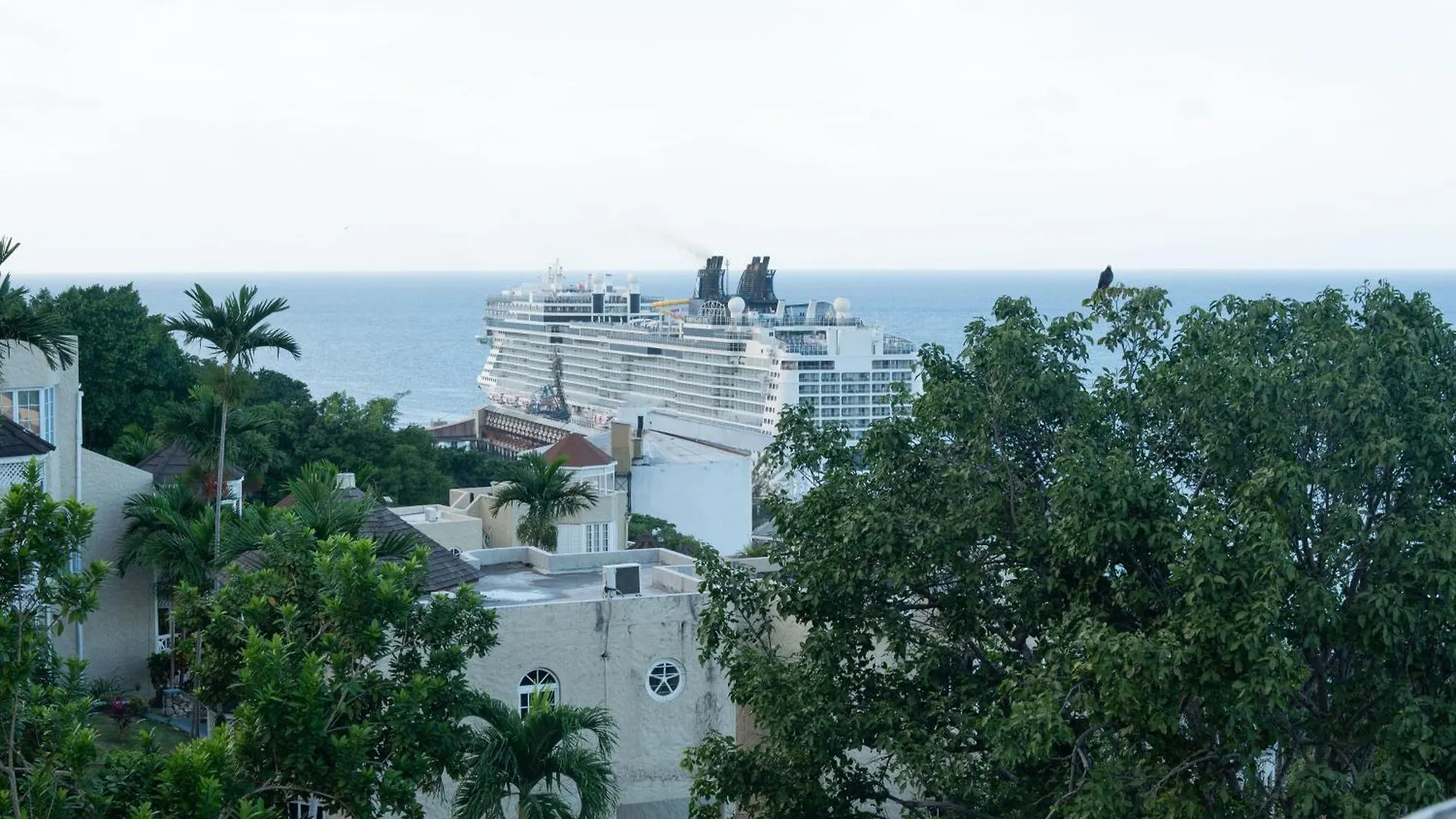 Pampered In Paradise Columbus Heights 2 Bedroom Penthouse Condo Near Ian Fleming Airport 奥乔里奥斯